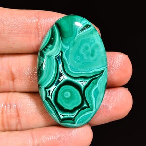 Natural Malachite Cabochon Oval Shape Green Malachite Loose Gemstone For Making Jewelry 85 Ct 43X27X7 MM