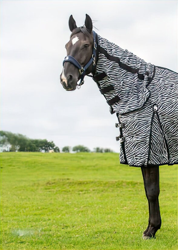 Horse LIGHTWEIGHT Zebra Fly Rug/sheet With FREE Mask Mesh All Etsy UK
