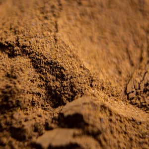 Organic Himalayan Rhubarb Powder | Rheum Emodi | Natural Dyes | 10g-1kg