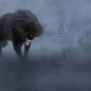 Werewolf Transformation Incantation