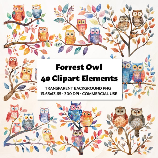 Watercolor Forrest Owl Clipart Set  40 PNG Elements Cute Whimsical Multicolored Owls on Tree Branches Simple Bird Illustrations for Crafters