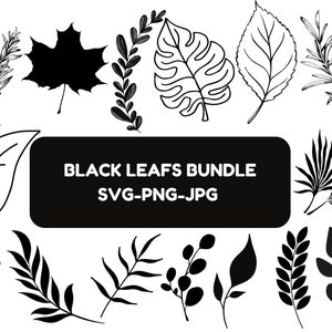 Paquete SVG de hoja, paquete de hojas svg, imágenes prediseñadas de hoja, archivos de corte de hoja svg para Cricut