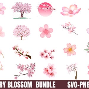 Kirschblüte svg, Kirschblüte Png, Sakura Blossom svg, Kirschblumen svg, rosa Blumen svg, Kirschzweig Png, Botanica Png, Sakura Blume