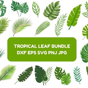 Hand Drawn Leaf SVG Bundle: Tropical Leaves Clipart (Digital Download)