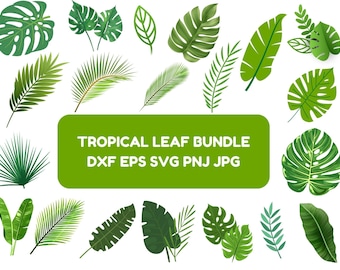 Hand Drawn Leaf SVG Bundle: Tropical Leaves Clipart (Digital Download)