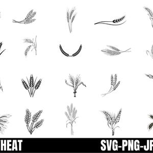 Tarwe SVG/graan SVG/tarwe clipart/bestanden knippen/cricut/silhouet/vector