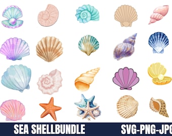 Seashell SVG, Sea Shell SVG, Beach SVG, Summer, Instant Download, Cut File, Sublimation, Clip Art (includes svg/dxf/png file formats)