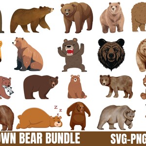 Paquete de imágenes prediseñadas de oso pardo: SVG, PNG, JPG (descarga digital)