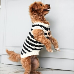 Custom Hooded Dog Sweater With Buttons Personalized Knit Sweater Dogs Dog Name Clothes for Girls and Boys Dog Monogram Crochet Hoodie Etsy