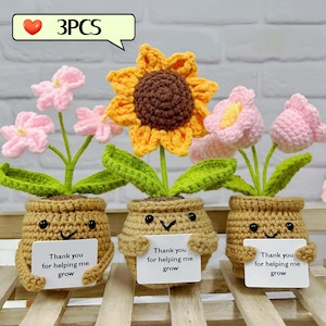 Cute Handmade Crochet Sunflower/Forget Me Nots/Lily Of The Valley,Thank You For Helping Me Grow,Emotional Support,Thank you Gift For Her