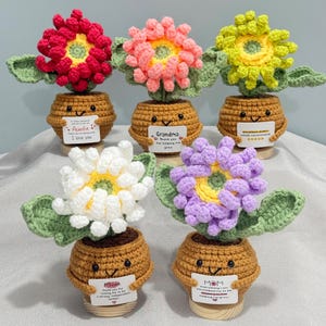 Peut inclure: Six pots de fleurs crochetés avec des visages souriants et des fleurs colorées. Les pots contiennent des fleurs rouges, roses, jaunes, blanches et violettes. Chaque pot porte une petite pancarte avec un message.