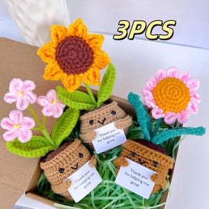 3PCS Cute Crochet Sunflowers/Forget Me Not/Daisy plants,Crochet Flowers,Emotional Support plants, Thank You For Helping Me Grow,Teacher Gift