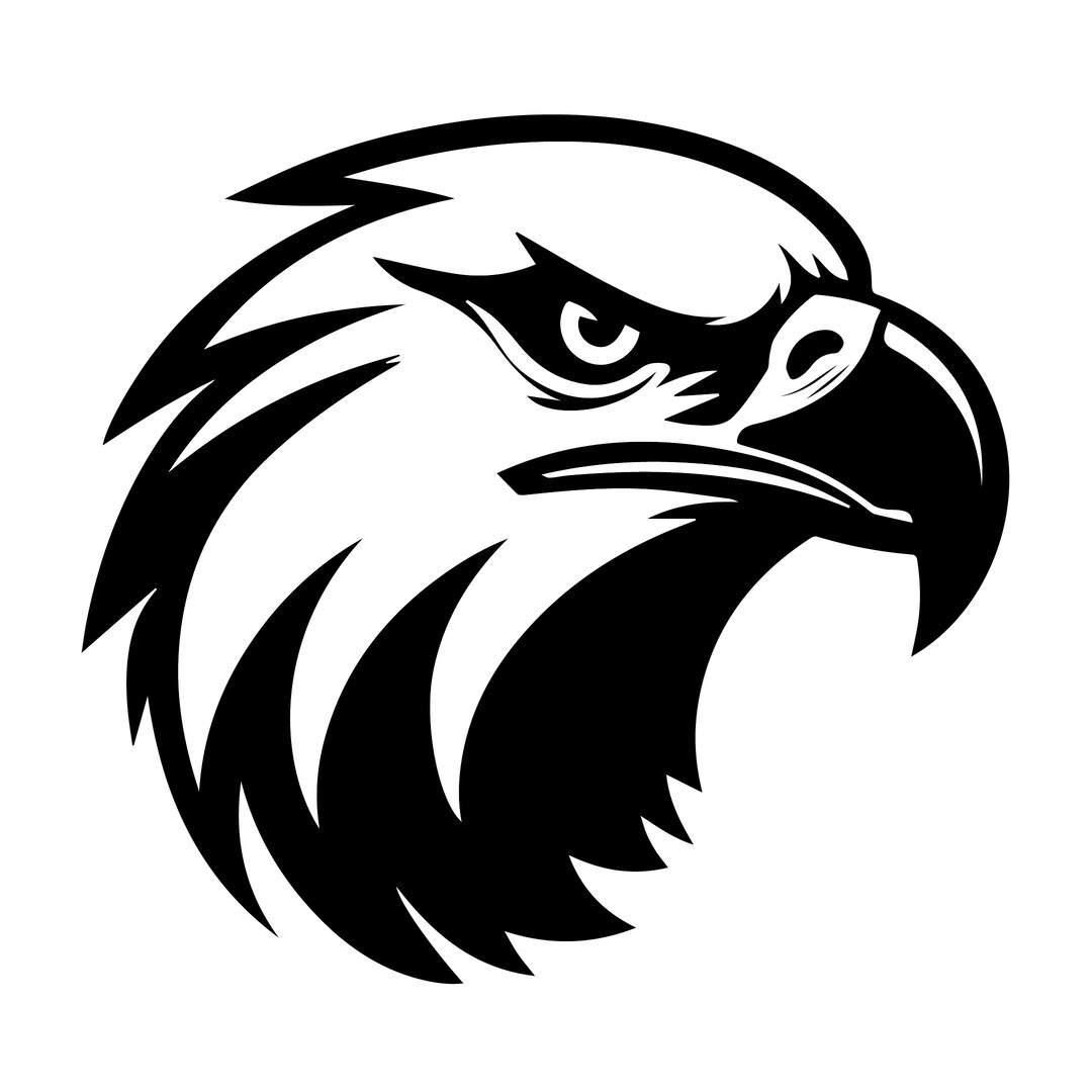 Eagle Vector - Svg/png/dfx/jpeg - Instant Download - Etsy