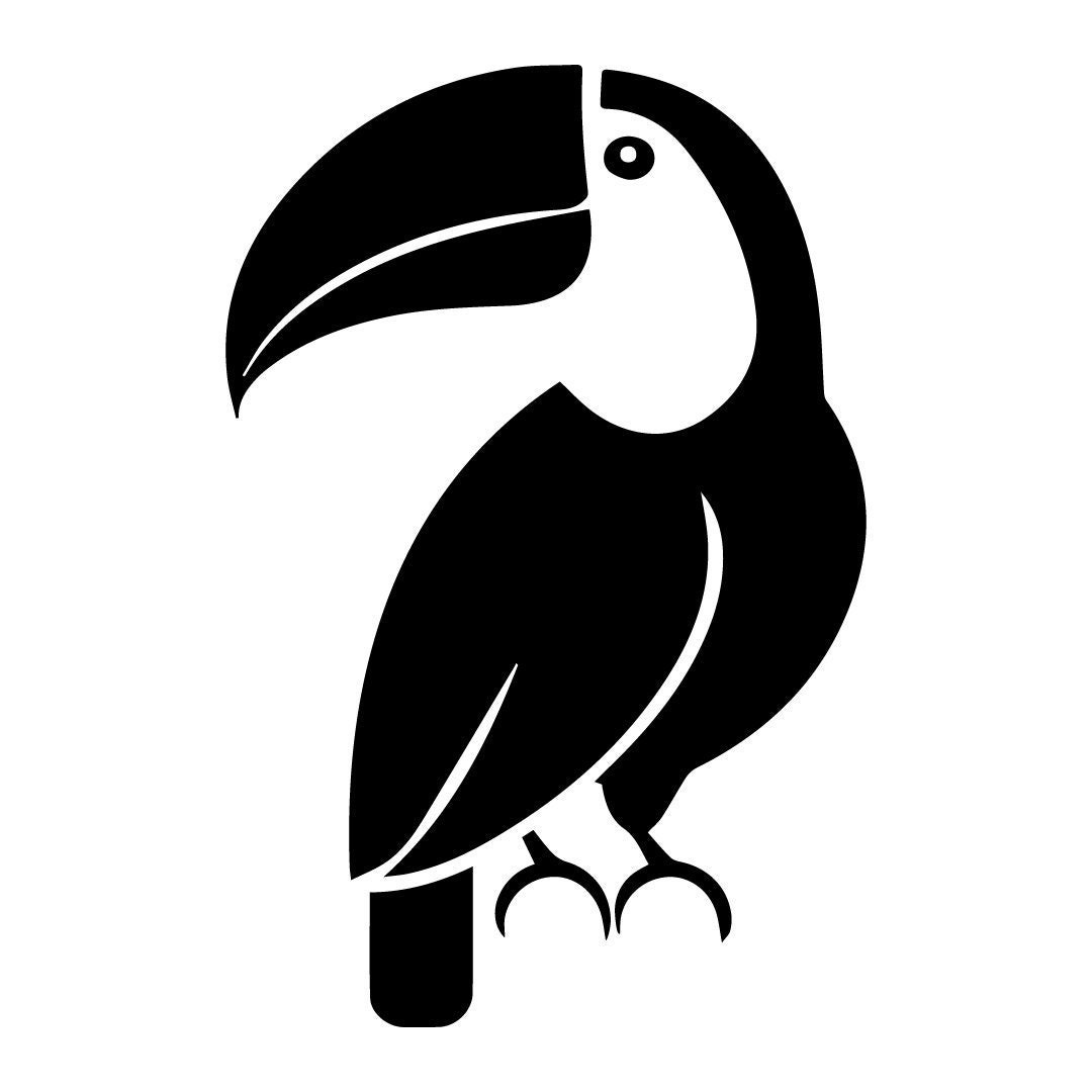 Cute Toucan Vector - SVG/PNG/DFX/Jpeg - Instant Download