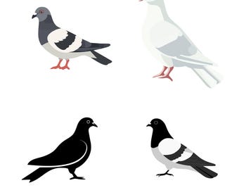 Cute Pigeon Vector Clipart Bundle - 4 Elegant Cute Pigeon Illustrations in Multiple Formats for Printing & Crafting svg/eps/ai/dxf