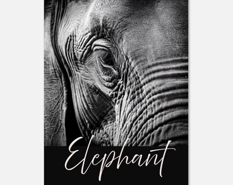 May include: Black and white close-up photograph of an elephant's eye and trunk. The image is cropped to show only the elephant's face. The text "Elephant" is written in pink cursive at the bottom of the image.