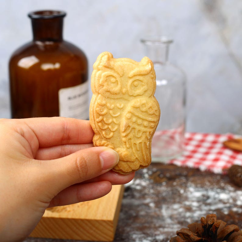 May include: A light brown owl-shaped cookie with detailed features. The cookie is being held by a hand.