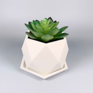 May include: A white geometric planter with a succulent plant inside. The planter has a hexagonal shape with a flat base.