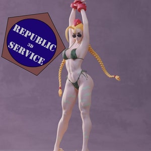 Cammy / 3DMoon/Street Fighter/ Video Game/Figure/Fan Art /Model