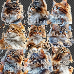 12 PNG Watercolor Maine Coon Cat Clipart - Digital Download for Scrapbooking, Invitations, and Home Decor.