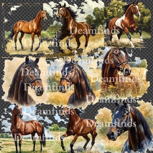 12 PNG Watercolor Thoroughbred Horse Clipart, Printable Animal Art, Equine Digital Download, Horse Lover Gift, Floral Horse Clipart.