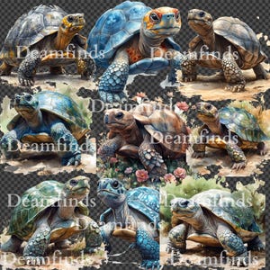12 Watercolor Turtle Clipart | Sea Tortoise PNG Digital Download | Ocean Animal Clip Art for Sublimation & Crafts
