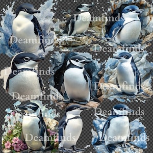 12 PNG Watercolor Chinstrap Penguin Clipart – Hand-Painted Arctic Animal Illustrations for Crafts and Design.