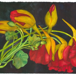 Vibrant Nasturtium Giclée Print of Original Watercolor Floral Wall Art Painting by Mary Lyn Gough Passion