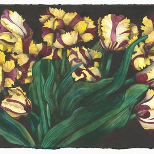 Un delizioso raggruppamento di tulipani Rembrandt Dipinto originale ad acquerello floreale da parete di Mary Lyn Gough Sundays Best
