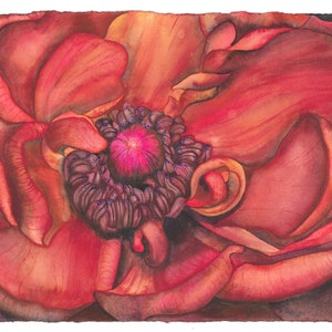 Stampa acquerello intima di Tulip dell'originale dipinto ad acquerello di Mary Lyn Gough Spring Surprise
