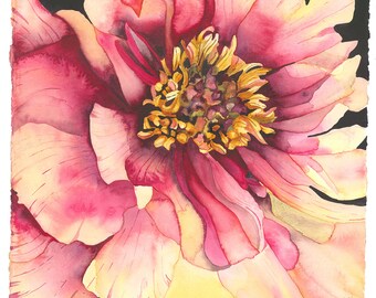 A Lovely Peony Original Watercolor Floral Wall Art Painting by Mary Lyn Gough Enchantment