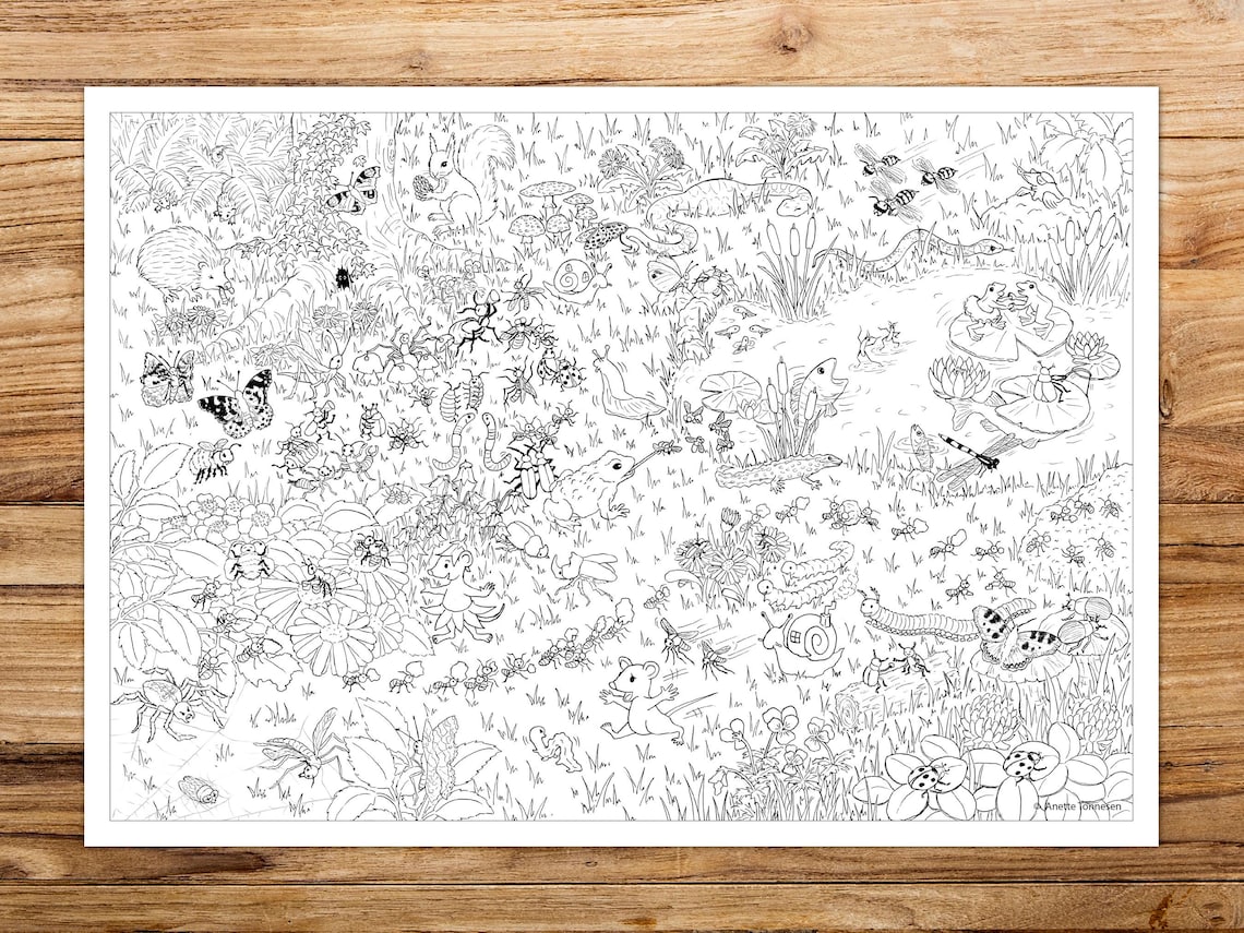 Bugs Search and Find Coloring Page: Kids Activity Print (digital ...