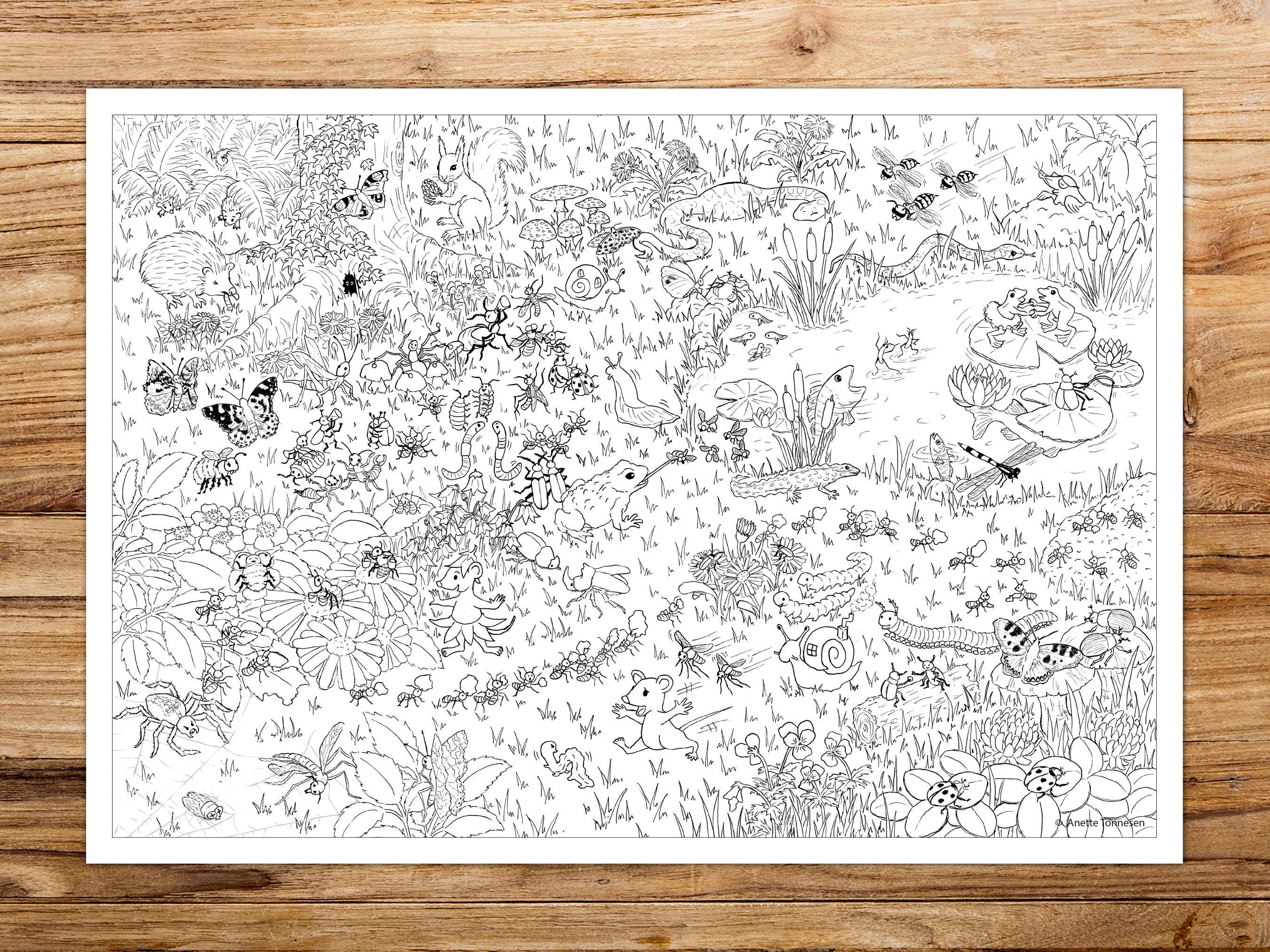 Bugs Search and Find Coloring Page: Kids Activity Print (digital ...