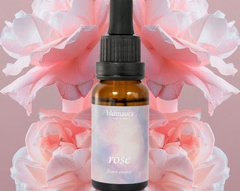 Rose Flower Essence - Rose Floral Remedy