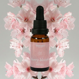 Cherry Blossom Flower Essence - Cherry Blossom Floral Remedy - Cherry Blossom "Sakura"
