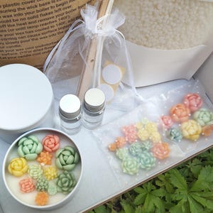 Può includere: Un kit per la creazione di candele fai-da-te con una scatola bianca, una latta per candele con cera a forma di succulente, perle di cera, flaconi di oli essenziali e istruzioni. Le succulente di cera sono nei toni del verde, giallo, arancione e rosa.