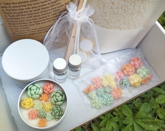 DIY Kerzenherstellungsset, Soja Sukkulenten Duftkerze, Bastelset, Raumduft Geschenk, einfach DIY