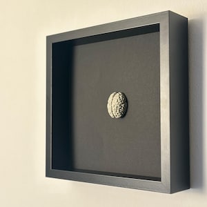 May include: A framed art piece featuring a detailed, off-white brain sculpture centered on a black background. The brain is encased in a square, black frame, creating a striking contrast. The artwork is mounted on a white wall.