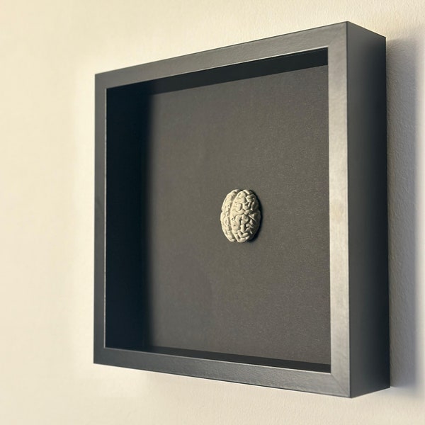 Stubborn - Anatomically correct concrete brain in a black picture frame with a wealth of detail
