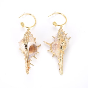 May include: A pair of gold hoop earrings with a seashell pendant. The seashells are a light brown colour with a white interior and have a textured surface.