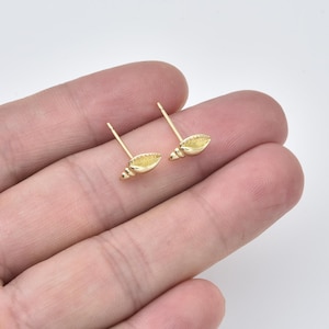 Könnte beinhalten: Ein Paar goldfarbene Muschel-Ohrstecker. Jeder Ohrring hat ein detailliertes Muscheldesign mit einem Stecker für durchbohrte Ohren. Die Ohrringe werden auf hellem Hintergrund präsentiert.