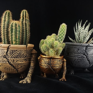 Może przedstawiać: Trzy ceramiczne doniczki z nóżkami, każda z innym rodzajem sukulentu. Doniczki są ozdobione pękniętym i fakturowanym wykończeniem, a każda ma inny kolor: brązowy, złoty i szary.