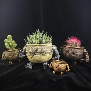 May include: A set of decorative plant pots in shades of brown and beige, featuring detailed patterns and small arms and legs. Each pot contains a different succulent or cactus, adding a natural element. The pots are designed to be eye-catching.