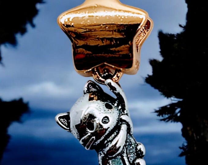 Sterling Silver, Cat charm, Fits Pandora, Gift For Her, Sterling Silver Charm, Cat Lady Present, Gold & Silver Charm, Slider Charm