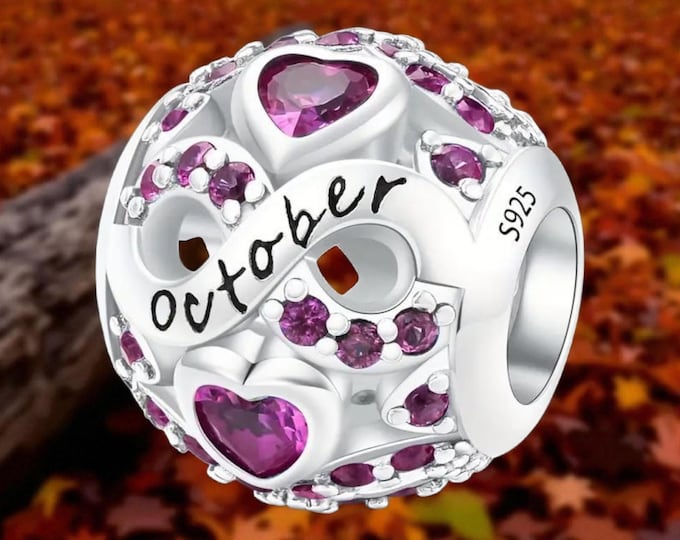 October Crystal Charm, Fits Pandora Bracelet, Sterling Silver Pendant, Fits Pandora, Slider Bead, October, Scorpio