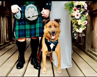 Costume pour chien tartan, tenue de mariage pour chien, harnais pour chien, article à porter pour une occasion spéciale sur commande pour votre chien, porte-anneau pour chien.