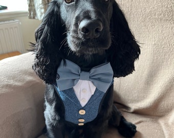 Costume pour chien en tweed à chevrons, tenue de mariage pour chien, harnais pour chien, vêtements pour occasions spéciales sur commande, porte-anneau pour chien.