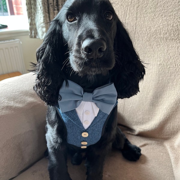 Costume pour chien en tweed à chevrons, tenue de mariage pour chien, harnais pour chien, vêtements pour occasions spéciales sur commande, porte-anneau pour chien.