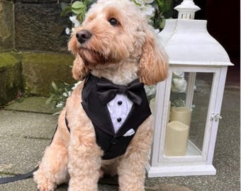 Black Tuxedo, Wedding Day Attire for Dogs, Suit Harness for the