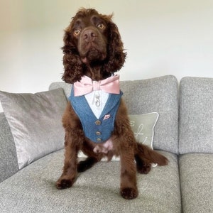 Tweed Herringbone dog suit, Wedding attire for dog, Suit Harness best dogs, Special Occasion Wear-Made to Order, dog ring bearer. image 7